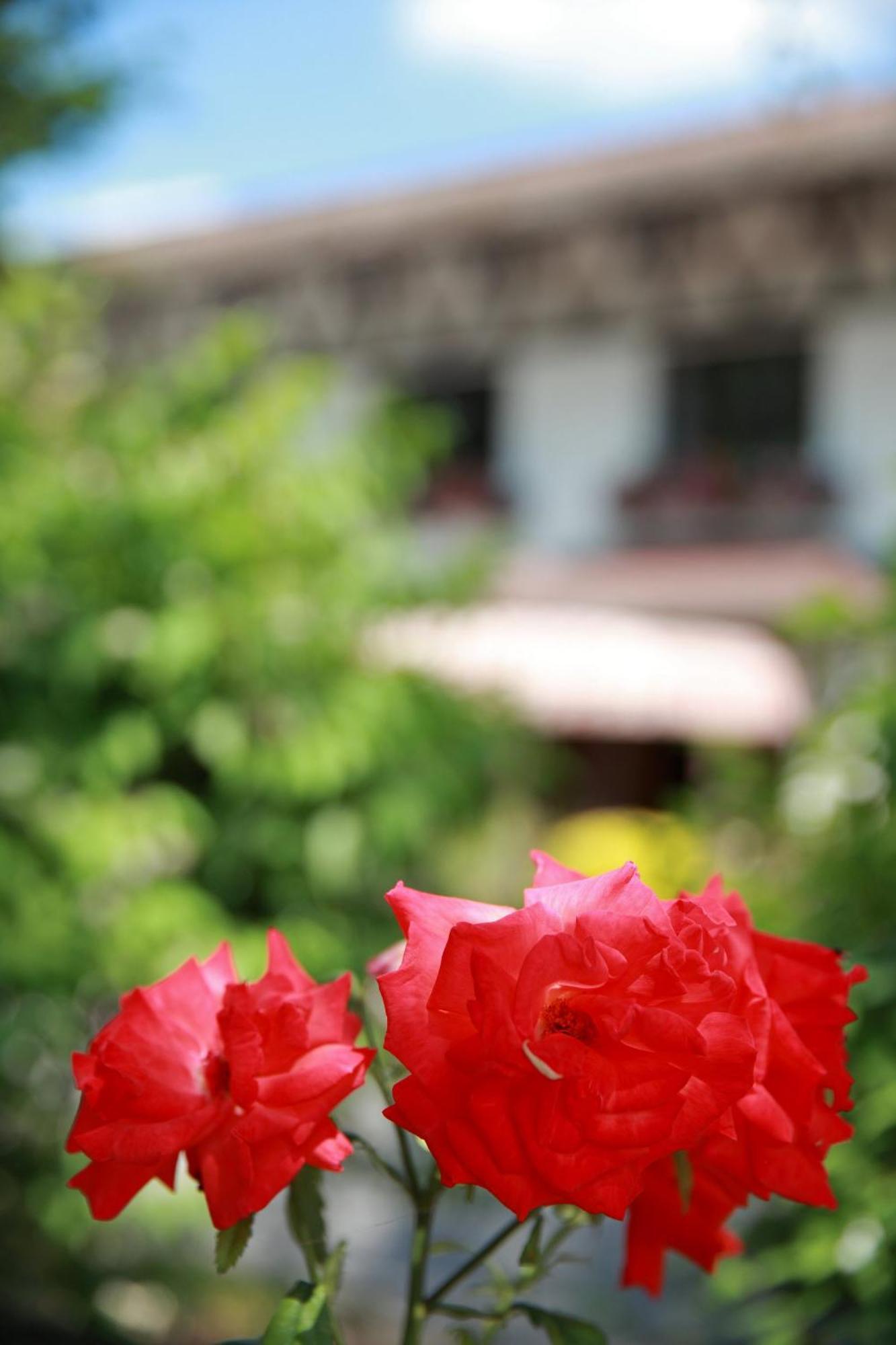 Cit'Hotel Le Pot D'Etain Holnon Buitenkant foto